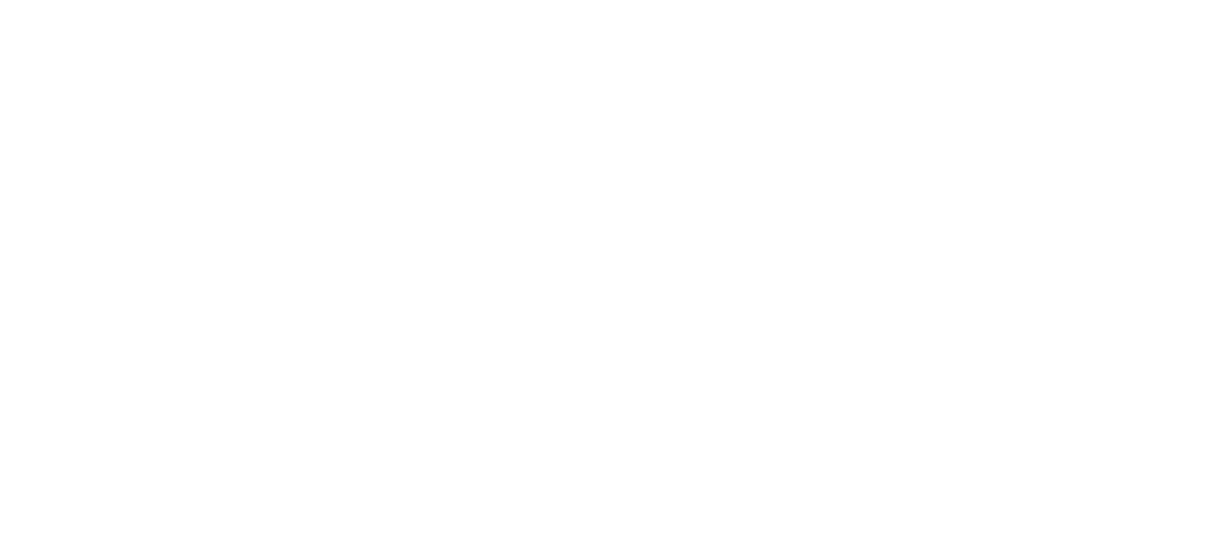 Shrimp nation logo